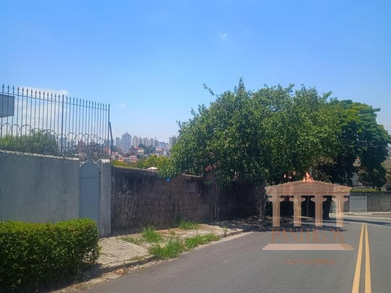 TERRENO - CIDADE SÃO FRANCISCO, SÃO PAULO