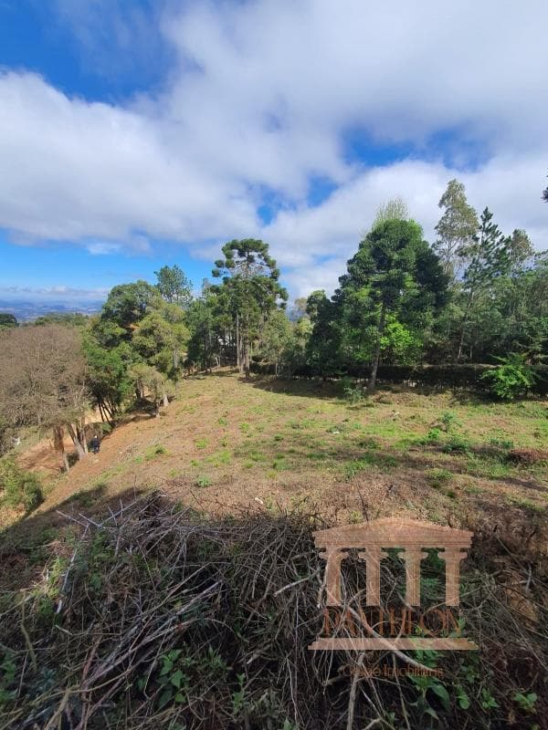 TERRENO - SITIO ÁGUAS LIMPAS, CAMPOS DO JORDÃO
